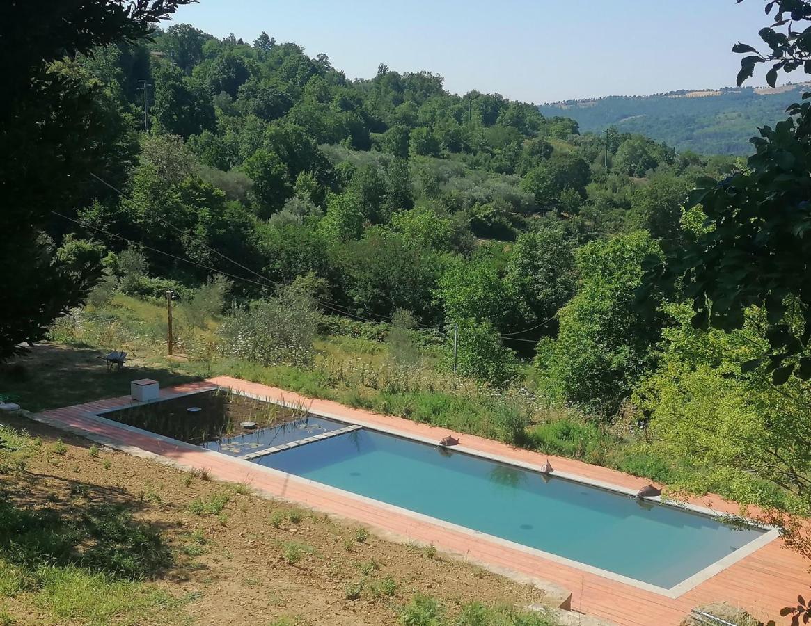 Podere Di Maggio - Glamping Tent 3 Santa Fiora Exterior photo